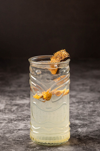 Лимонад «Лесной Орех»